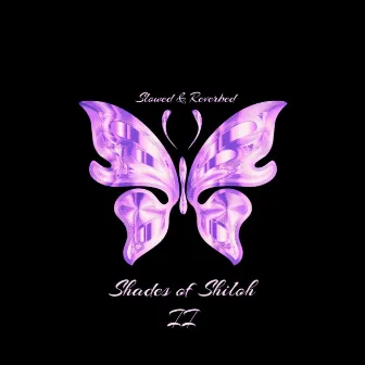 Shades of Shiloh 2 (Slowed & Reverbed) by Anweezy