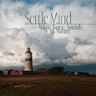 Settle Mind: White Noise, Sounds of Rain, Waves, Thunderstorms for Stress Relife and Deep Sleep by Night White Noise Universe