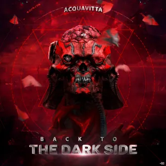 Back to the Dark Side by Acquavitta