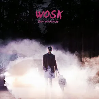 Wosk by Taco Hemingway