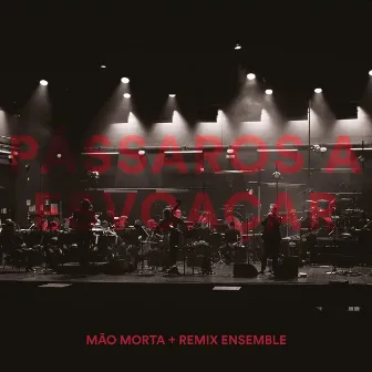 Pássaros a Esvoaçar (Ao Vivo) by Remix Ensemble