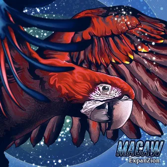 Expanzion by Macaw