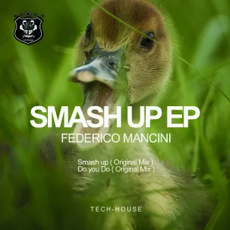 Smash Up by Federico Mancini