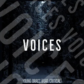 VOICES by YOUNG DRACC