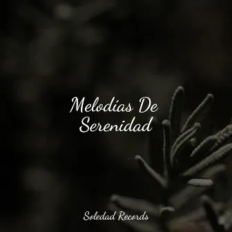 Melodías De Serenidad by Sonidos de la Naturaleza para Dormir