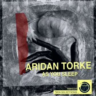 As You Sleep by Aridan Torke