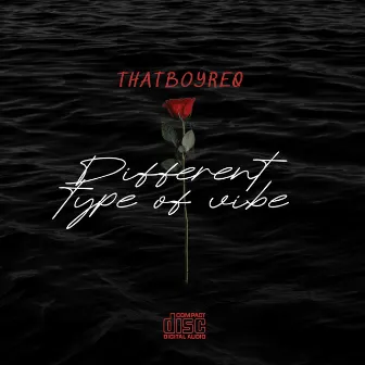 Different Type Of Vibe by Thatboyreq