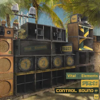 Control Sound by Micky Finn