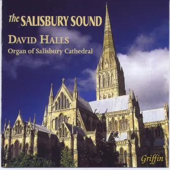 The Salisbury Sound by David Halls