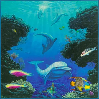 Dolphin Smiles (Remastered) by Steve Kindler