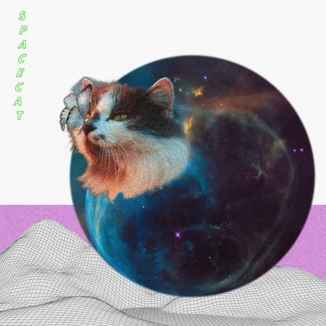 Spacecat