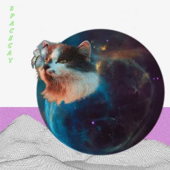 Spacecat by Josi Miller