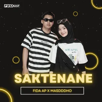 Saktenane by Fida AP