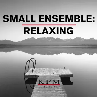 Small Ensemble: Relaxing by Beatrix Benedict