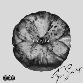 DISPARU by Tsu Surf