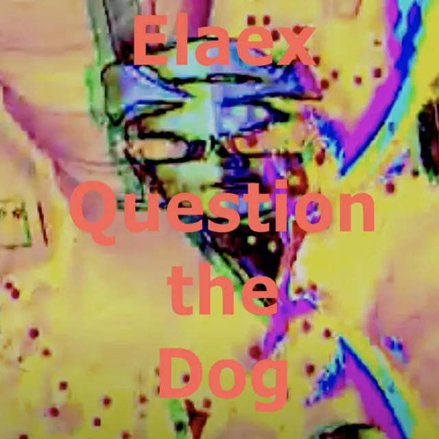 Question the Dog