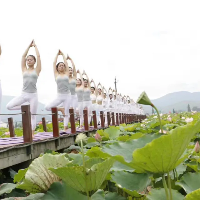 观花海