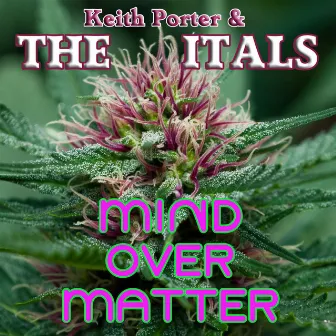 Mind Over Matter by The Itals