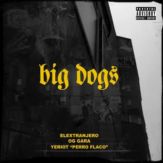 Big Dogs by Og Gara