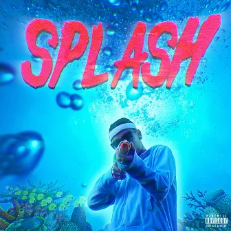 Splash by Quinny