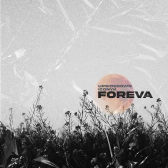 Foreva by ICONYK