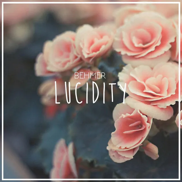 Lucidity