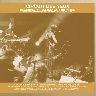 Reaching for Indigo: Gaia Infinitus by Circuit des Yeux