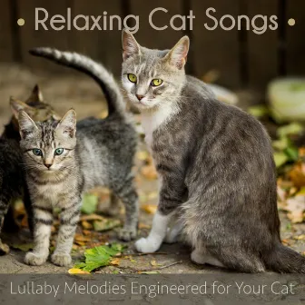 Relaxing Cat Songs: Lullaby Melodies Engineered for Your Cat by Cat Music Therapy