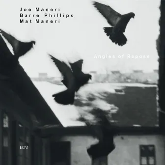 Angles Of Repose by Joe Maneri