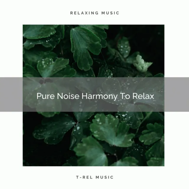 Pure Noise Harmony To Relax