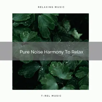 Pure Noise Harmony To Relax by Granular