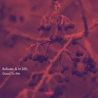 Good to Me by Ballester