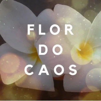 Flor do Caos by Vulgo Br