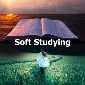 Soft Studying by Study Ambient Club