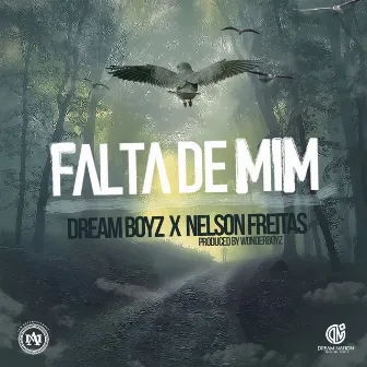 Falta De Mim by Dream Boyz