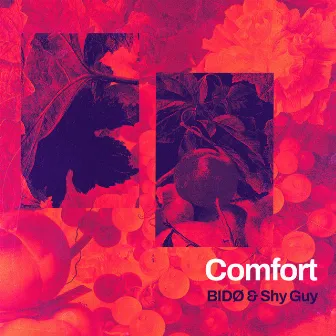 Comfort by Shy Guy