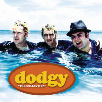 The Collection by Dodgy