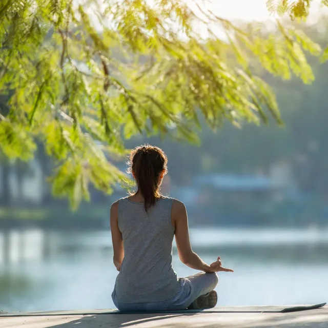 Zen Garden's Tranquil Melody