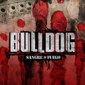 Sangre & Fuego by Bulldog