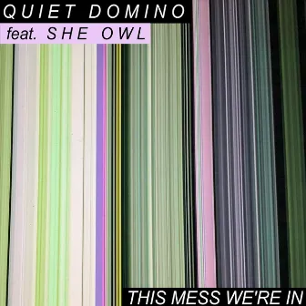 This Mess We're In by Quiet Domino