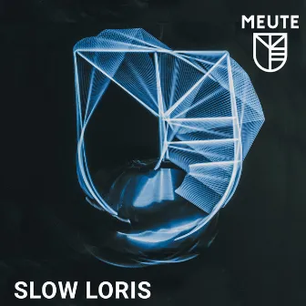 Slow Loris by MEUTE