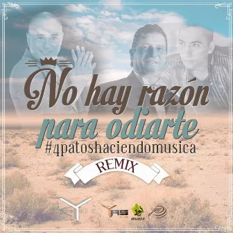 No Hay Razon Para Odiarte (Remix) by Yelsid