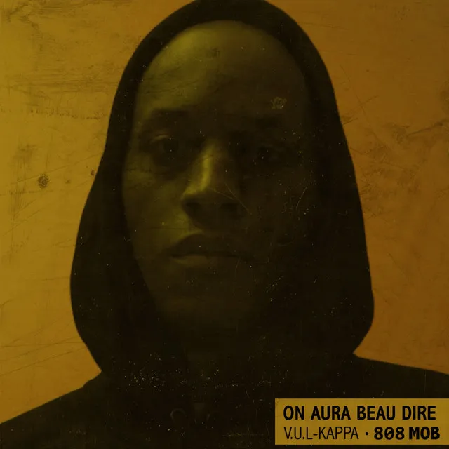 On aura beau dire (feat. Hasheem)