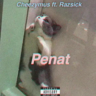 Penat by Cheezymus