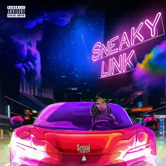 Sneaky Link by $emaj