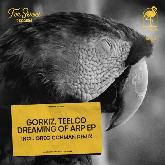 Dreaming of Arp by TEELCO