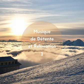 Musique de détente et relaxation, Vol. 1 by Les Voies de la Relaxation