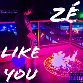 Like You by Zé