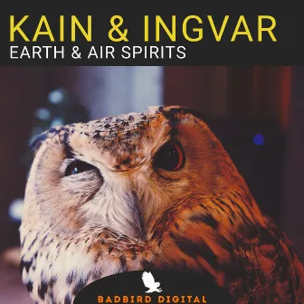 Earth & Air Spirits by Ingvar