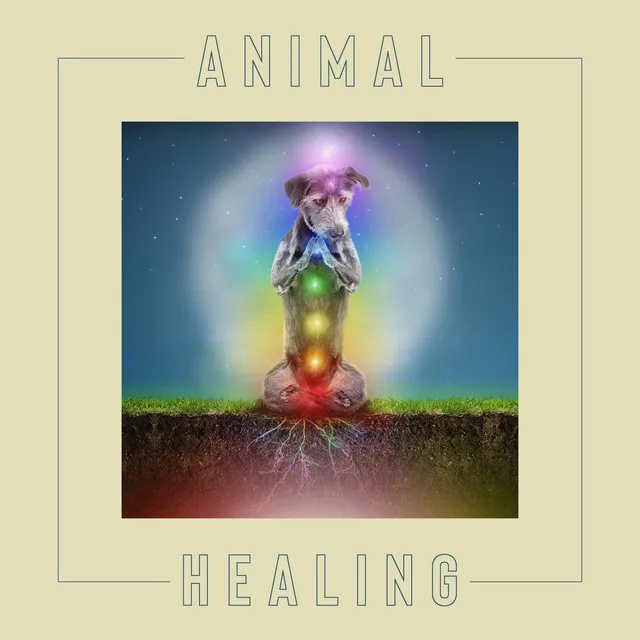 Animal Healing: Japanese New Age Music for Relaxation, Stress Relief, Reiki Session